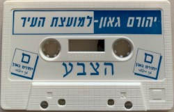 יהורם גאון - למועצת העיר