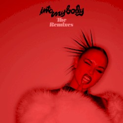 Into My Body (the remixes)