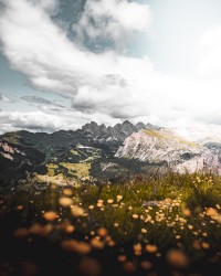 10 Years of Naviar Haiku