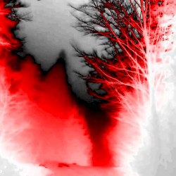 THIS EP WILL DISSAPEAR IN 2 DAYS