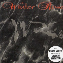 Winter Rose