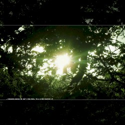 We Can't Stop Here, This is Bat Country! LP