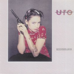 Misdemeanor