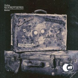 Here to Stay (remixes)