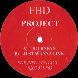 Journeys / Just Wanna Live