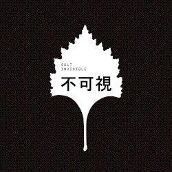 invisible