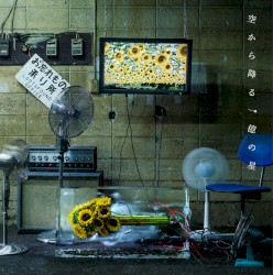 空から降る一億の星