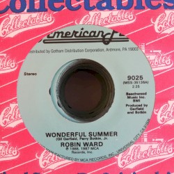 Wonderful Summer / She’s Got You