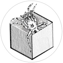 Lon Lon Night Vision