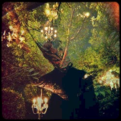 Chandelier Tree (Lambert remix)