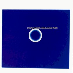 Beaucoup Fish