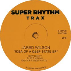 Idea of a Deep State EP