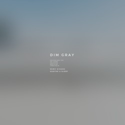 Dim Gray