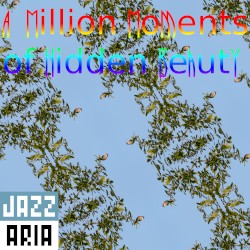A Million Moments of Hidden Beauty