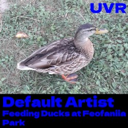 Feeding Ducks at Feofaniia Park