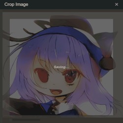 Satellits: Placements