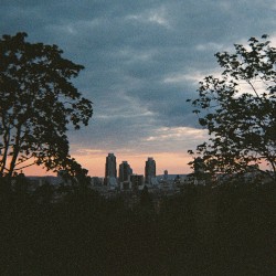 They Fall, but You Don’t