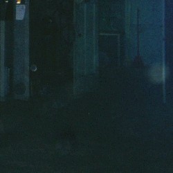 Shell of Light (Shlohmo remix)