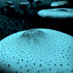 I didn't mean for it to be like this