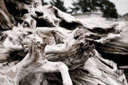 The Only Time I Hear That You Want a New Life Is When Your Hands Are Like Papercut Blood Vessels; I Guess It's About Time You Find a New Face and Another Skin to Blend In