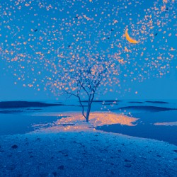 stories from the sea