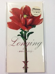 Longing 〜跡切れたmelody〜