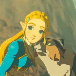 breath of the wild