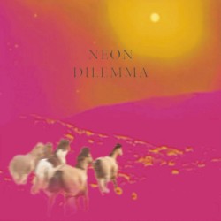 Neon Dilemma