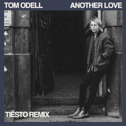 Another Love (Tiësto remix)
