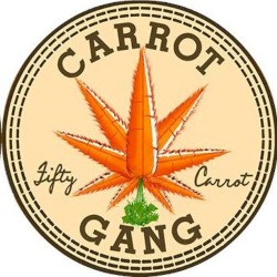 Wiz Kid (Getter remix)