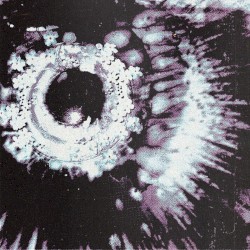 DROP555 (Sotw808 Remix)