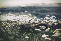 禁じられた瞳よ