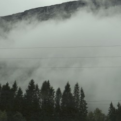 Wandering Mind, Drifting Weather
