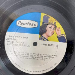 Una voz y una guitarra