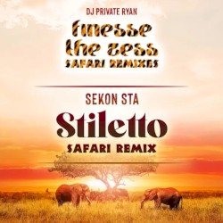 Stiletto (Safari Remix)