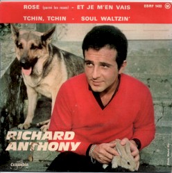 Rose parmi les roses