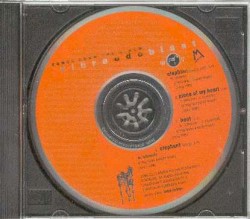 Songs From the Album Vibraudoblast