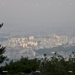 Moments Forever Shading