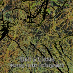 Twenty Years Underground