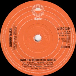 (What a) Wonderful World / Ooh Baby You’ve Been Good to Me