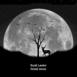 Forest Moon