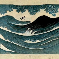 toward the water, away from land