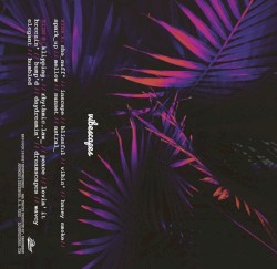 vibescapes (reissue)