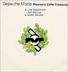 Pleasure Little Treasure