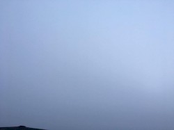 冬なしの白 white without winter