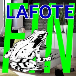 Fin