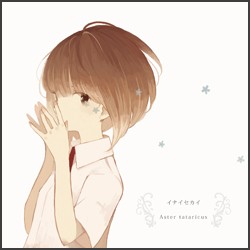 イナイセカイ/Aster tataricus