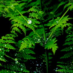 Be The Best That You Can Be