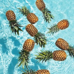 Pineapple Pool Party (Sango Taught Me)