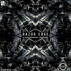 A Holographic Universe